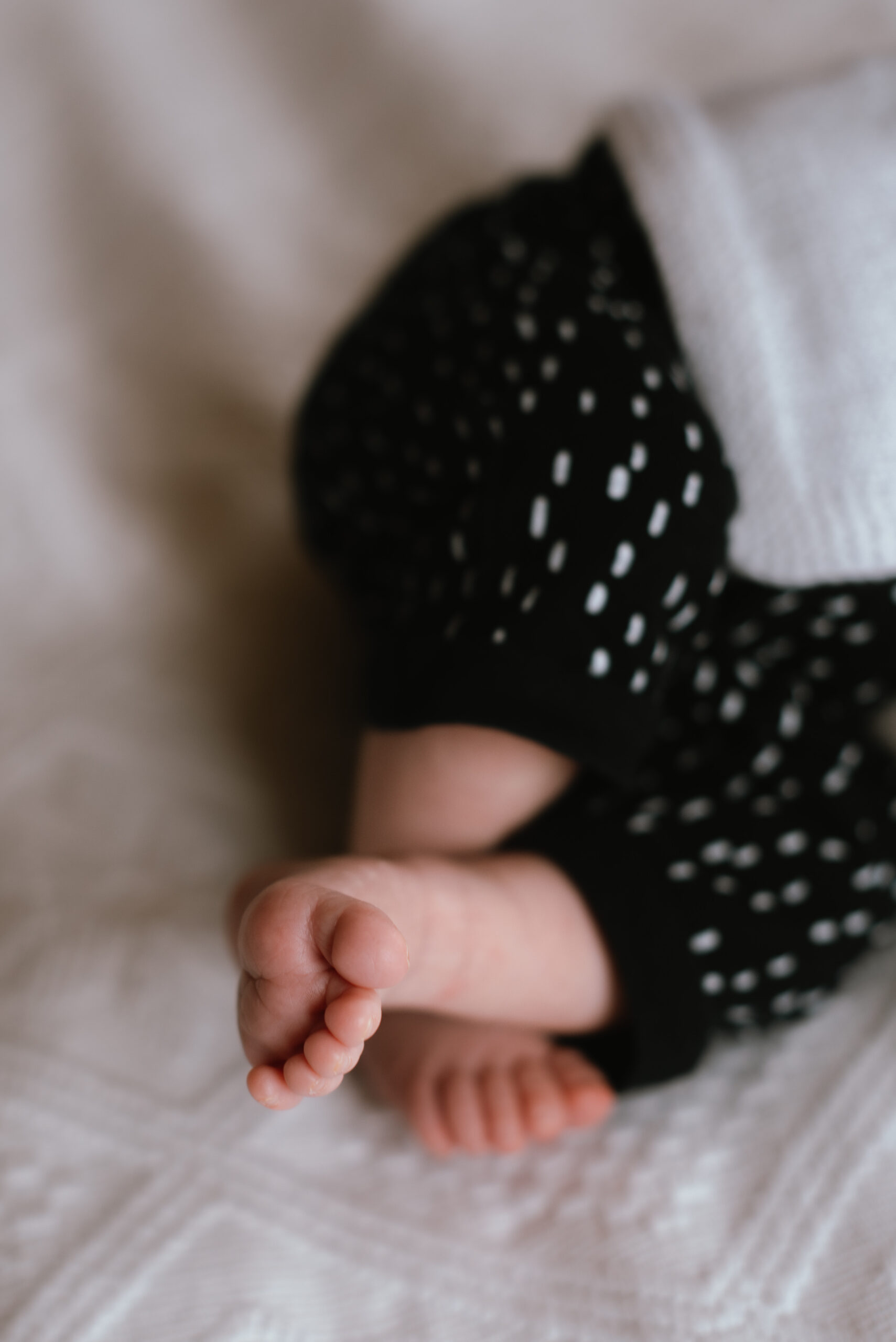Séance photo naissance Bourgoin